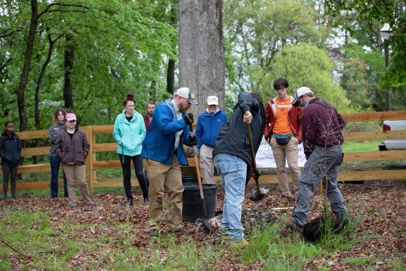A group of people use shovels to dig holes in the ground at the old growth forest adjacent to Lane Stadium. 