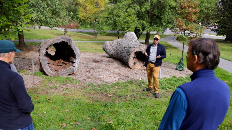 Jamie King stands in front of two large tree trunks that are laying on the ground and hollowed out. Hokie Hike attendees stand facing King and the trees. 