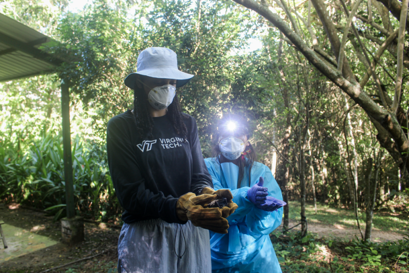 Virginia Tech undergraduate student  Julia Alexander holds a bat in her hand during field research in Colombia. 