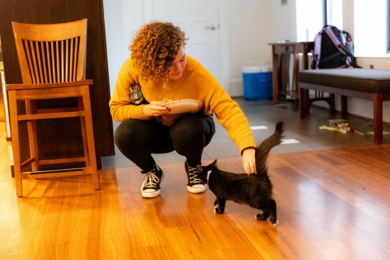 A student in a yellow sweater squats on wood flooring to pet a black-and-white kitten 