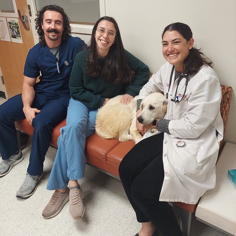 Dog owners and dog sitting in a hospital with a veterinarian.