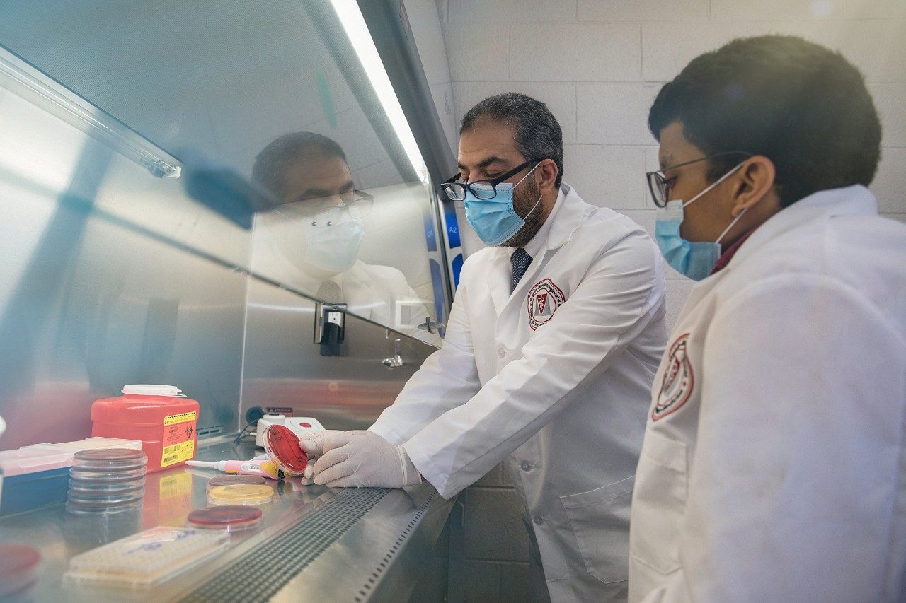 (From left) Mohamed Seleem and Yehia Elgammal work in Seleem’s lab at the Center for One Health Research. 