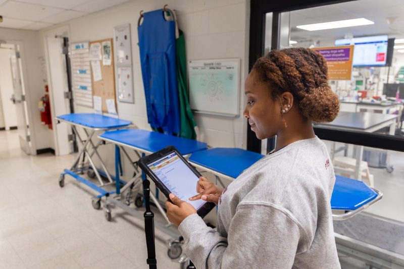 ezyVet Veterinary professional working on a tablet.