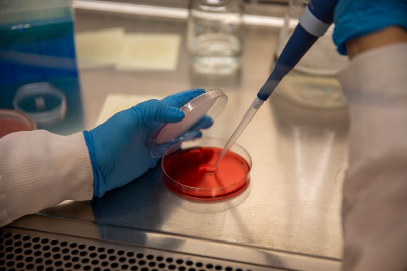 A lab researcher's gloved hands use a dropper and a Petri dish to test samples.
