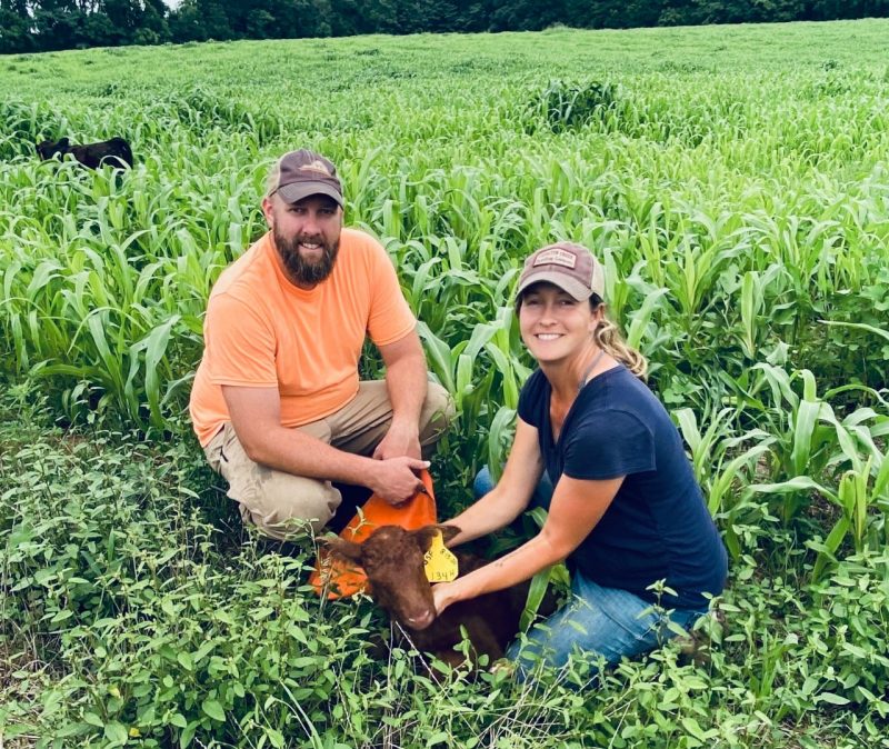 A man and woman kneel in a field of low corn, holding a brown calf and smiling.