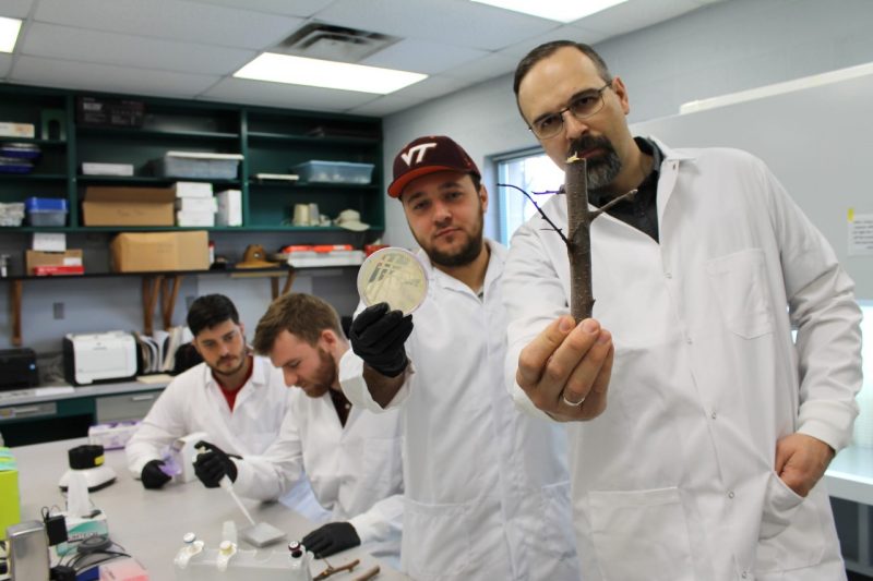 Two men stand in the foreground of a lab, holding up a tree branch and a Petri dish, with two lab workers shown in the background..