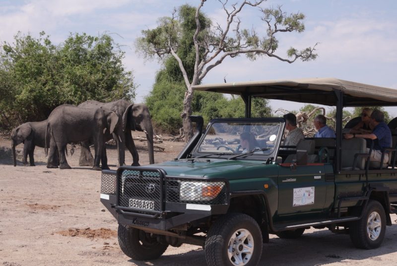 A jeep with people inside is in the foreground, while a family of elephants walks past.