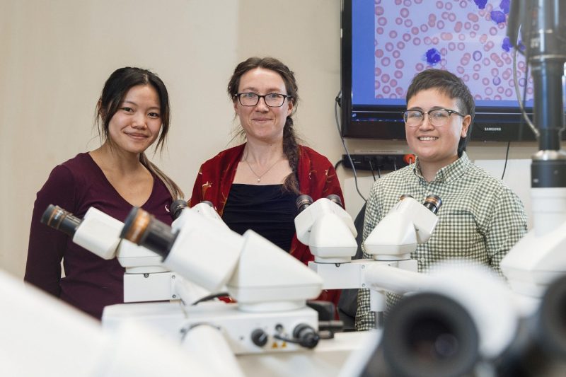 Three research professionals standing in a lab surrounded by microscopes.