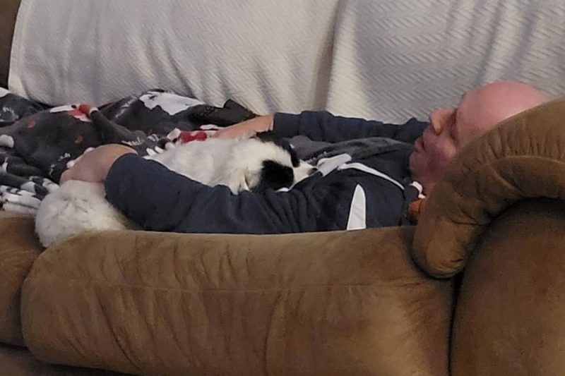 Person and a black and white dog laying on a couch. 