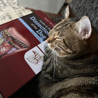 Maeve Davis 2 Cat laying on top of a textbook, "Dissection of the Dog".
