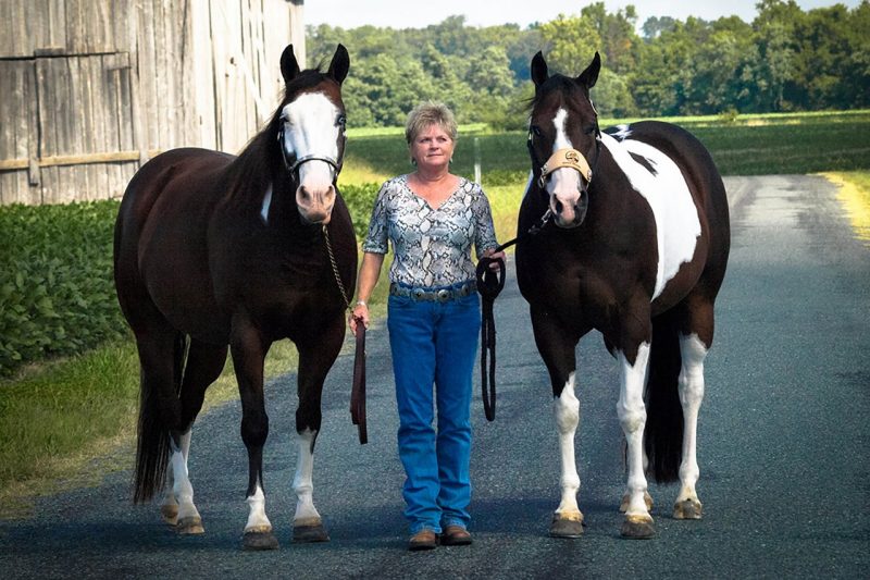 Gena Clifton Gena Clifton with her two american paint horses.