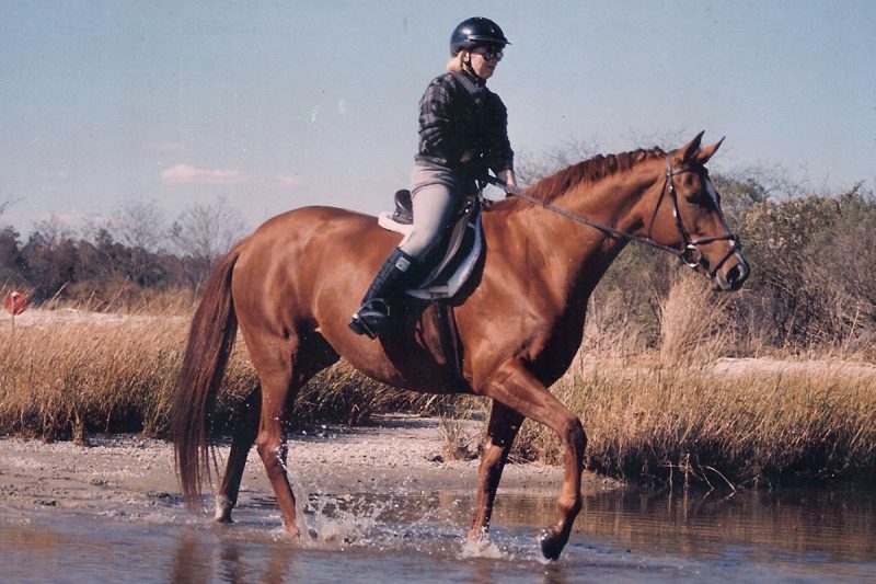 Gena Clifton riding Artemis. 