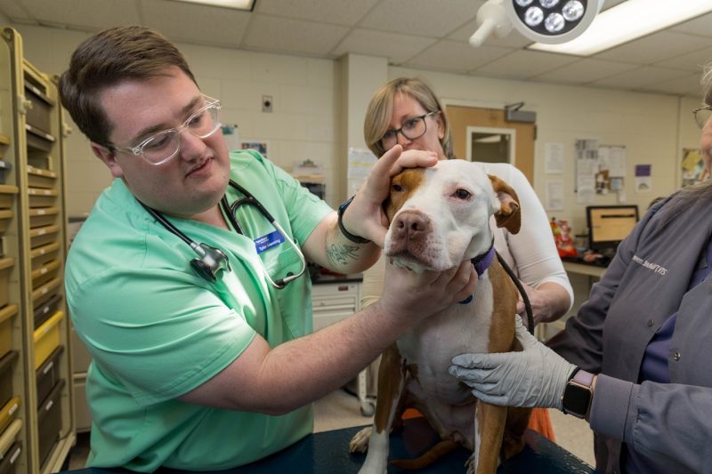 (From left) Tyler Manning, Bobbi Conner, and Maureen Sroufe examining a dog. 