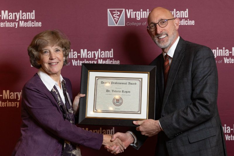 Faculty Awards 2024 Dean M. Dan Givens giving Dr. Valerie Ragan the Dean’s Professional Award at the Faculty Awards in April of 2024 at the Virginia Tech Inn.