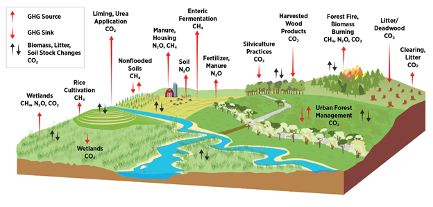 Greenhouse gas Greenhouse gas diagram