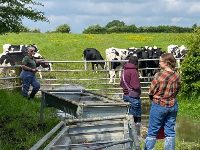 Two women stand by feeding troughs, their backs to the camera. One older woman leans against the fence facing them. Behind the fence, cows are grazing