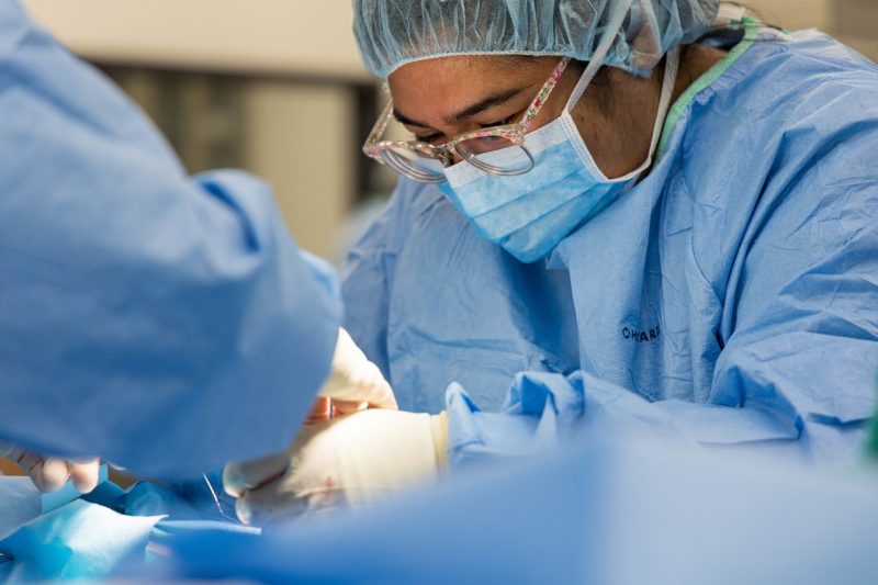 Cat Spay Year 2 DVM Students work in teams as surgeon, anesthetist, or assistant whilst performing cat spay surgery under the close supervision of multiple faculty.
