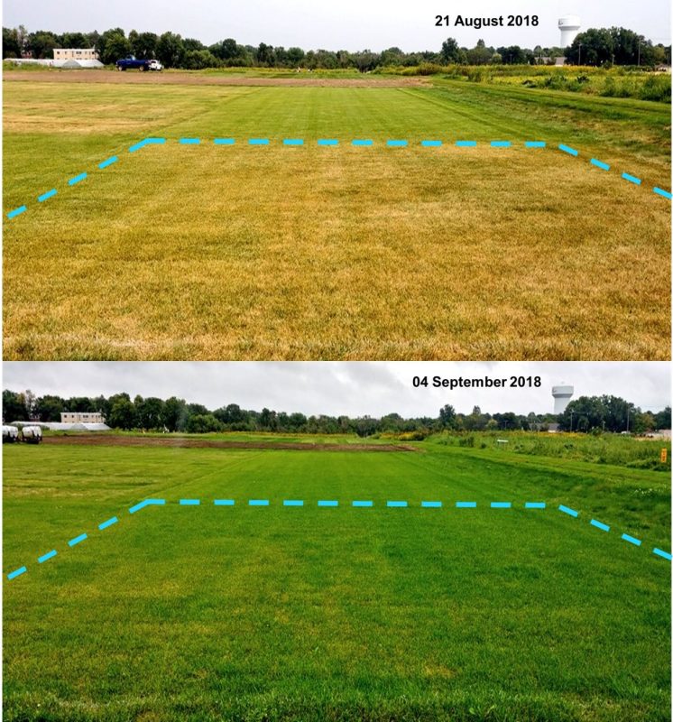 Top image showing brown grass during drought and bottom image showing recovered lawn after rain.