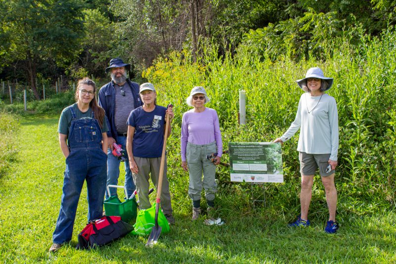 Restoration Ecology Working Group provides guidance for Town of Blacksburg