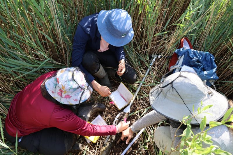 A group of three students huddle on the ground around a core sediment at Thicket Point in the Chesapeake Bay.