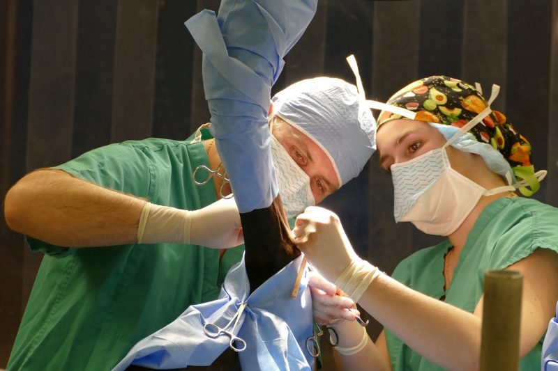 Bruno Malacarne Bruno Malacarne during surgery at the Equine Medical Center.