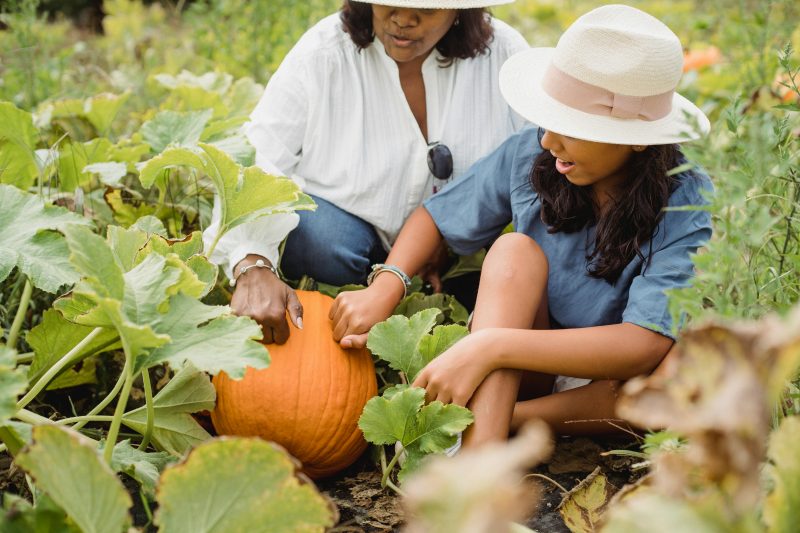 Women picking a pumpkin.