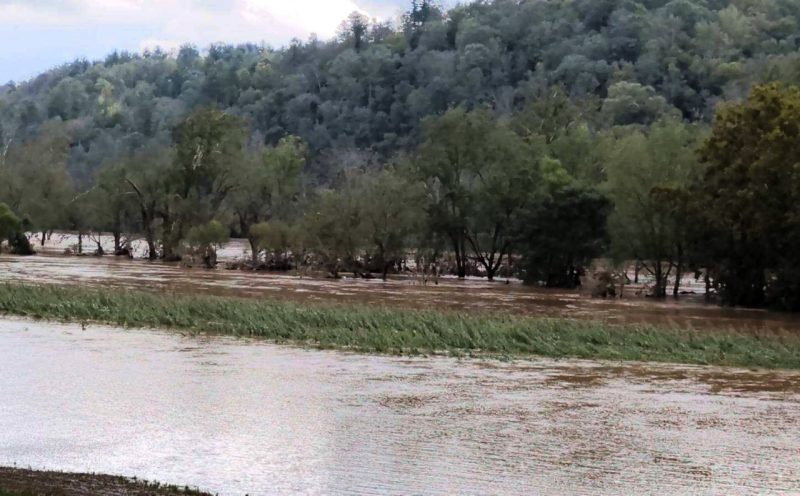 A river flooding a cornfield in the rain.