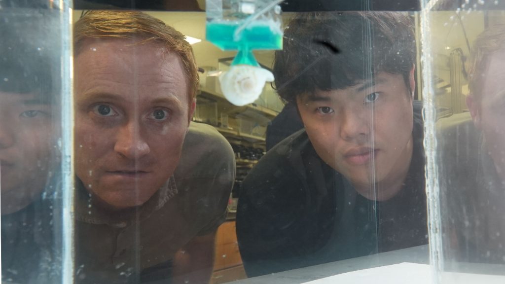 New research on octopus-inspired technology successfully maneuvers underwater objects | Virginia Tech News