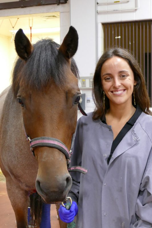 Patrick 3 Patrick and Blanca pose for a picture at the Equine Medical Center.