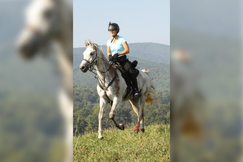 Claire Godwin Claire Godwin riding a horse in the mountains.