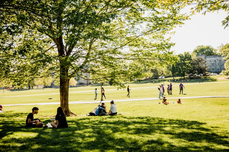 Students relax on the Drillfield. Photo by Mary Desmond for Virginia Tech. Students relaxing on the drillfield. Photo by Mary Desmond/Virginia Tech Student Affairs