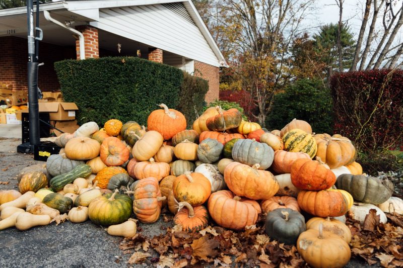 A pile of colorful pumpkins and other winter squash sits on a driveway surrounded by fallen leaves, with a brick house and bushes in the background.