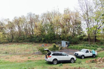A wide view of a the historic Smithfield Gardens, wet with cold rain and surrounded by tall trees with autumn leaves. Two white vehicles are parked nearby, and two volunteers are seen working in the field as another loads freshly harvested vegetables into the back of one the the vehicles.