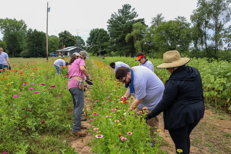 teachers in flower field