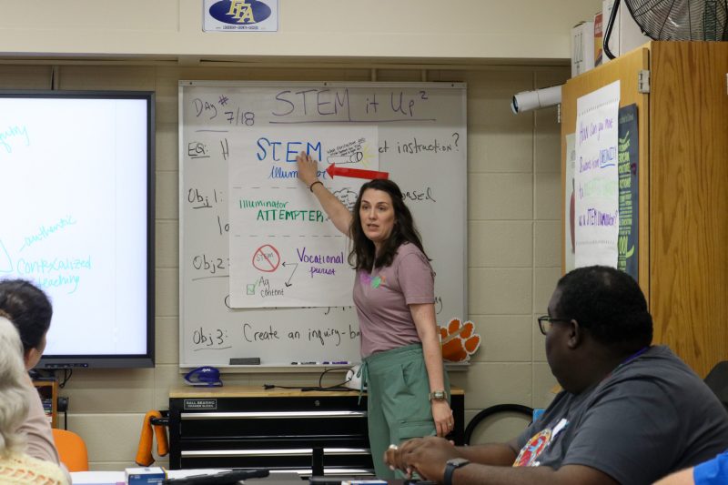 teacher gives presentation