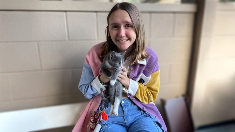 Sarah Hevener A young woman with long brown hair holds a gray and white kitten.