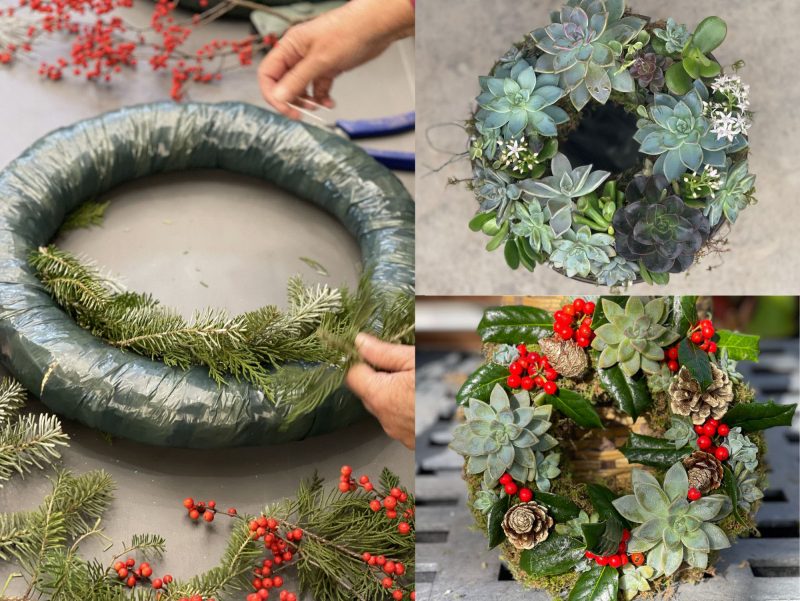 To the left, a wreath is being decorated with greenery in a wreath-making workshop hosted by Williams. To the right are two wreaths, the one on top is decorated in various shades of green and succulents. To the bottom right is a wreath decorated with more succulents, green leaves, red berries and pinecones.