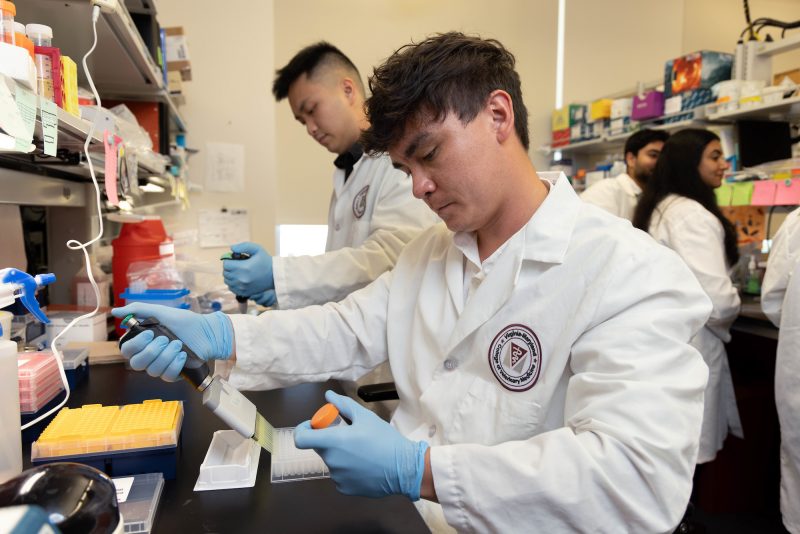 Lupus research Graduate student studies ways to help people with Lupus