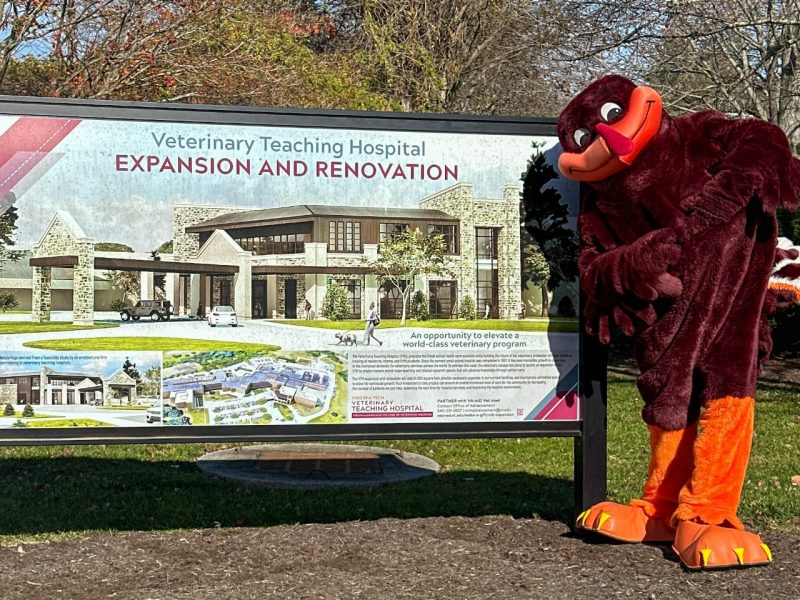 Hokie Bird Expansion Virginia Tech's Hokie Bird mascot (at right) in front of the Veterinary Teaching Hospital Expansion and Renovation sign in front of the Virginia-Maryland College of Veterinary Medicine