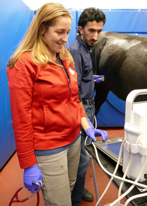 ER 2 (From left) Emily Schaefer and Mohamed Ali during an emergency exam.