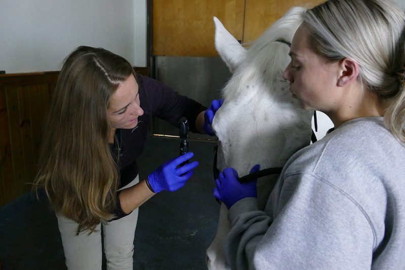 ER 3 (From left) Emily Schaefer and Shae Baker during an emergency eye exam.