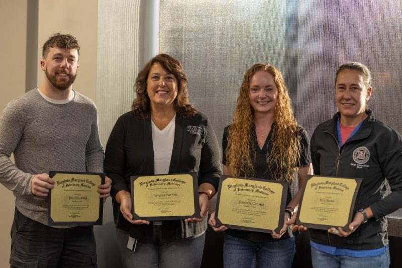 Staff Member of the Year Recipients for 2024 (From left) Brandon Willis, Karolee Furrow, Amanda Conrad, and Katie Reuss presented with their Staff Member of the Year 2024 awards from the Veterinary Teaching Hospital at the Virginia-Maryland College of Veterinary Medicine.