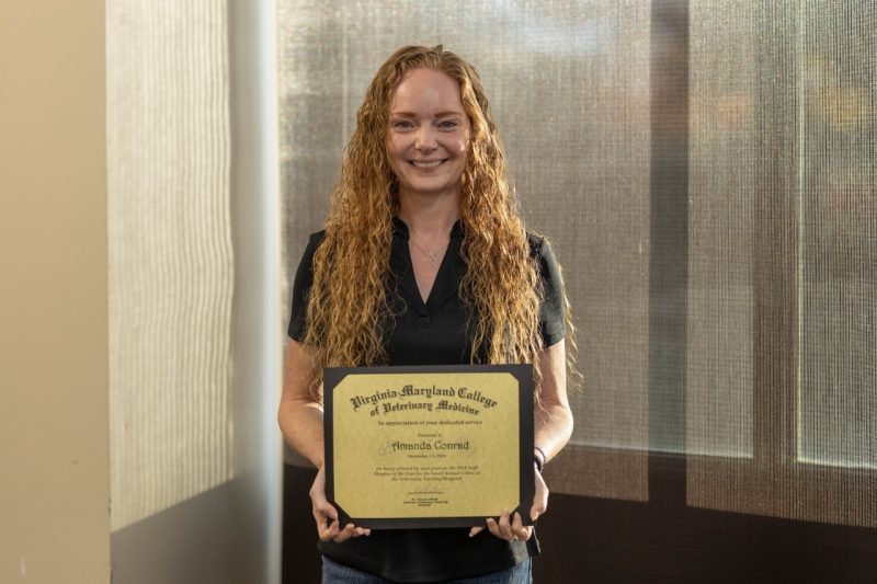 Amanda Conrad, Staff Member of the Year for 2024 Amanda Conrad, Cardiology Technician, presented with their Staff Member of the Year 2024 award from the Veterinary Teaching Hospital at the Virginia-Maryland College of Veterinary Medicine.