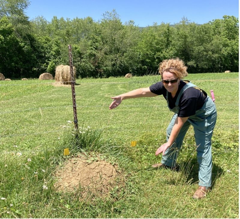 Woman standing with large ant mound
