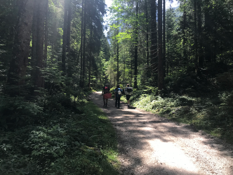 Team members approaching Gosaulacke. Hinrich Grothe, Regina Hanlon, and Jamie Benson ‘19 carry samples and equipment to a collection site in Gosau, Austria. Photo courtesy of David Schmale.