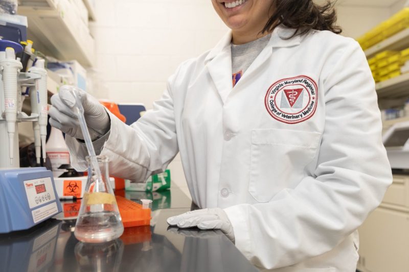 Uncommon Vet Careers A veterinary student (at center) doing laboratory work with a pipette in the Virginia-Maryland College of Veterinary Medicine multidisciplinary lab.