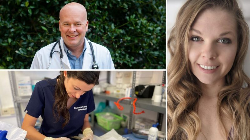 Uncommon Vet Careers Bill Tyrrell (at top left), Anna Katogiritis (at bottom left), and Vanessa Oakes (at right) in a photo collage.