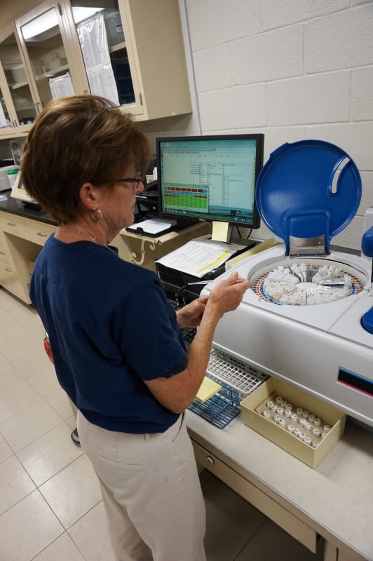 Karen Ingerson at work in the Equine Medical Center laboratory.
