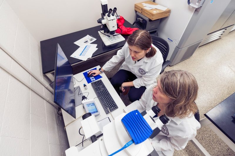 Kirsten Nielsen and Perry Kezh Kirsten Neilsen (at right) and Perry Kezh (at left) looking at work on a computer in the Neilsen lab at the Center for One Health Research