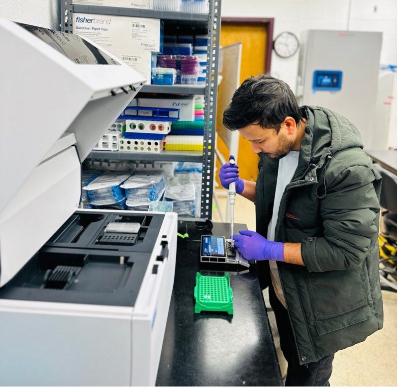 A young man wearing purple gloves works in the laboratory at Southern Piedmont AREC